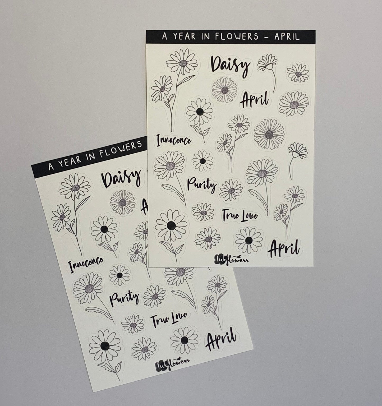 Year in Flowers - April Daisy floral matte sticker sheet